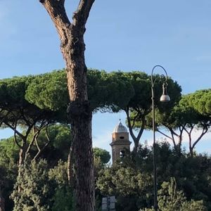 Meet your Posher, Joni